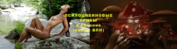 хмурый Абаза