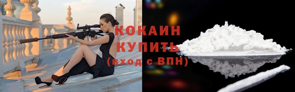 хмурый Абаза
