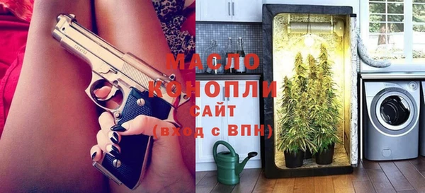 хмурый Абаза