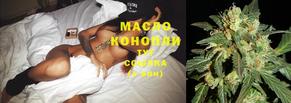 дмт Алексеевка