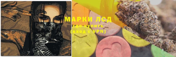 хмурый Абаза
