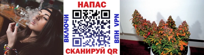 наркота  Сертолово  Каннабис AK-47 